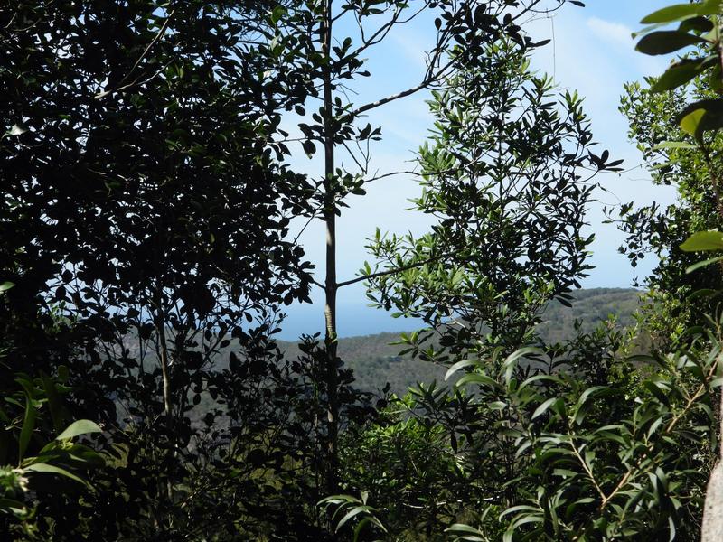 0 Bedroom Property for Sale in Hoekwil Western Cape